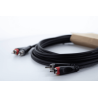 Cable de audio dual Rca/Rca 6 m
