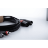 Cable de audio dual XLR/RCA macho 3 m