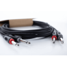 Cable de audio doble mono jacks 3 m
