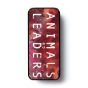CAJA SURTIDO 6 UD. COLLECTOR´S ANIMALS AS LEADERS