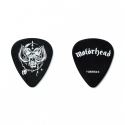 BOTE DE 6, WARPIG, MEDIUM