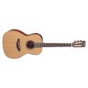 GUITARRA TAKAMINE New Yorker Electro