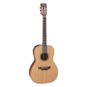 GUITARRA TAKAMINE New Yorker Electro