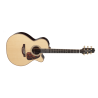 PRO SERIES 7 E/A AUDITORIUM CUTWAY - NATURAL