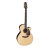 PRO SERIES 7 E/A AUDITORIUM CUTWAY - NATURAL