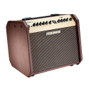 AMPLIFICADOR ACÚSTICO LOUDBOX Mini