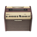 AMPLIFICADOR ACÚSTICO LOUDBOX Mini