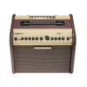 AMPLIFICADOR ACÚSTICO LOUDBOX Mini