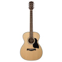 GUITARRA ACÚSTICA RICHWOOD AUDITORIUM AR