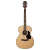 GUITARRA ACÚSTICA RICHWOOD AUDITORIUM ARTESANA