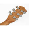 GUITARRA ACÚSTICA RICHWOOD AUDITORIUM AR