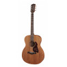 GUITARRA ACÚSTICA RICHWOOD AUDITORIUM AR