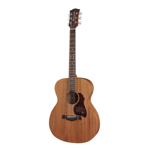 GUITARRA ACÚSTICA RICHWOOD AUDITORIUM AR