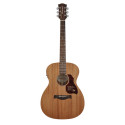 GUITARRA ACÚSTICA RICHWOOD AUDITORIUM AR
