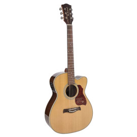 GUITARRA ACÚSTICA RICHWOOD AUDITORIUM AR
