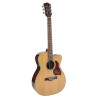 GUITARRA ACÚSTICA RICHWOOD AUDITORIUM AR