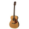 GUITARRA ACÚSTICA RICHWOOD AUDITORIUM AR