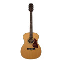 GUITARRA ACÚSTICA RICHWOOD AUDITORIUM AR