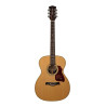 GUITARRA ACÚSTICA RICHWOOD AUDITORIUM AR