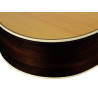 GUITARRA ACÚSTICA RICHWOOD AUDITORIUM ARTESANA