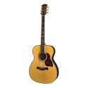 GUITARRA ACÚSTICA RICHWOOD AUDITORIUM AR