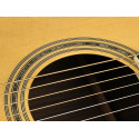 GUITARRA ACÚSTICA RICHWOOD AUDITORIUM AR