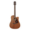 GUITARRA ACÚSTICA CE RICHWOOD DREADNOUGHT ARTESANA