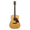 GUITARRA ACÚSTICA RICHWOOD DREADNOUGHT ARTESANA