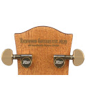 GUITARRA ACÚSTICA RICHWOOD DREADNOUGHT ARTESANA