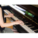 PIANO VERTICAL DIGITAL MEDELI NEGRO 88 TECLAS MECANISMO DE PIANO DE COLA 3 SENSORES