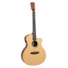 GUIT. Tanglewood Metropolitan