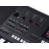 Teclado Medeli 61 teclas AK603