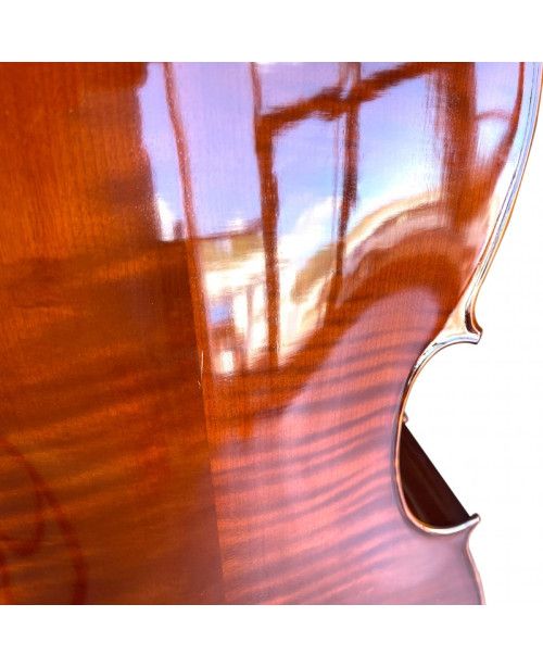 Cello F. Müller Virtuoso 4/4 (B-stock nº 255) 4/4