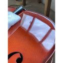 Cello Gliga Genial II