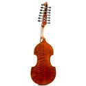 Viola D'Amore Rapsody DAM600
