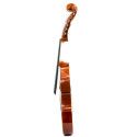 Viola D'Amore Rapsody DAM600