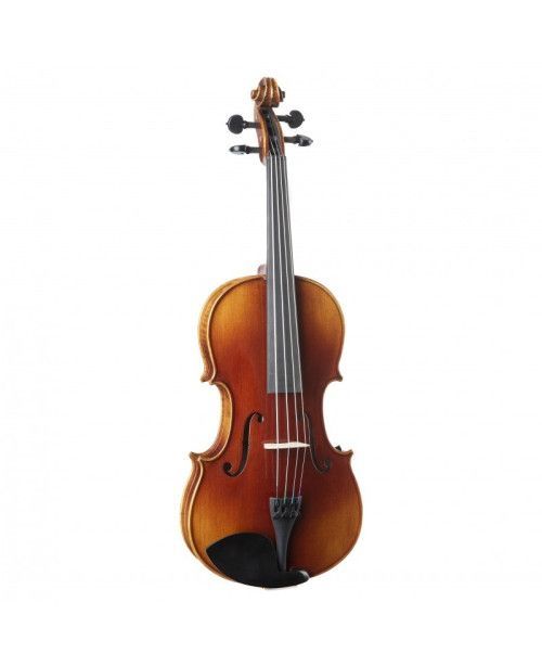 Viola F. Müller Soloist 15,5''