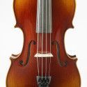 Viola F. Müller Soloist 15''