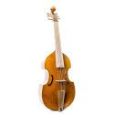 Viola de gamba Rapsody G10