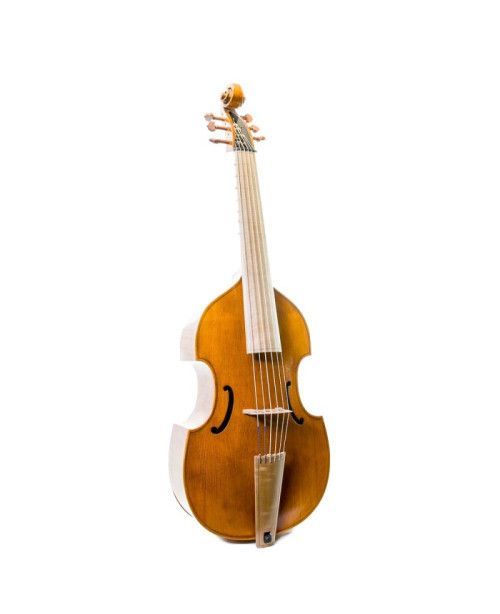 Viola de gamba Rapsody G10