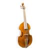 Viola de gamba Rapsody G10