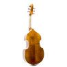Viola de gamba Rapsody G10