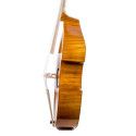 Viola de gamba Rapsody G10