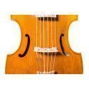 Viola de gamba Rapsody G10