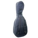 Viola de gamba Rapsody G10
