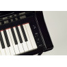 Clavinova Yamaha CSP-255PE