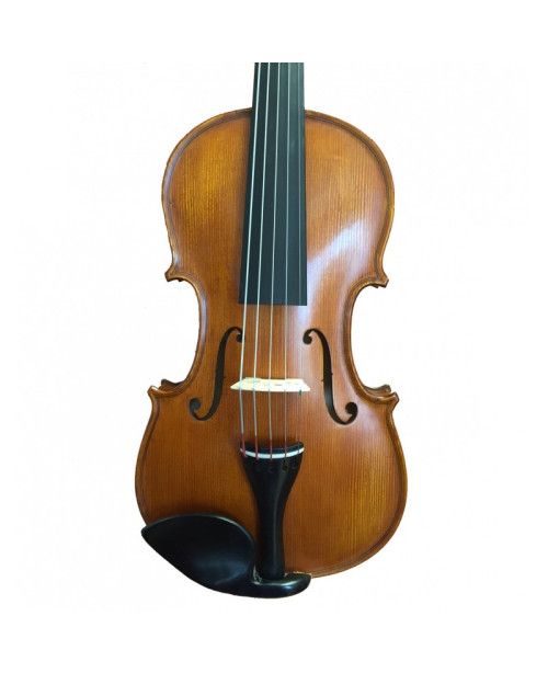 Violín Gliga Gama II 5 cuerdas 4/4