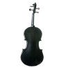 "Violín Stentor Harlequin 3/4"