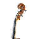 "Violín Stentor Master"