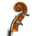 "Violín Stentor Master"